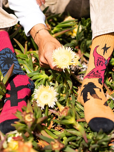 Volcom Featured Artist Bob Mollema Socks 4 Pack Assorted Colors | WXZ370648
