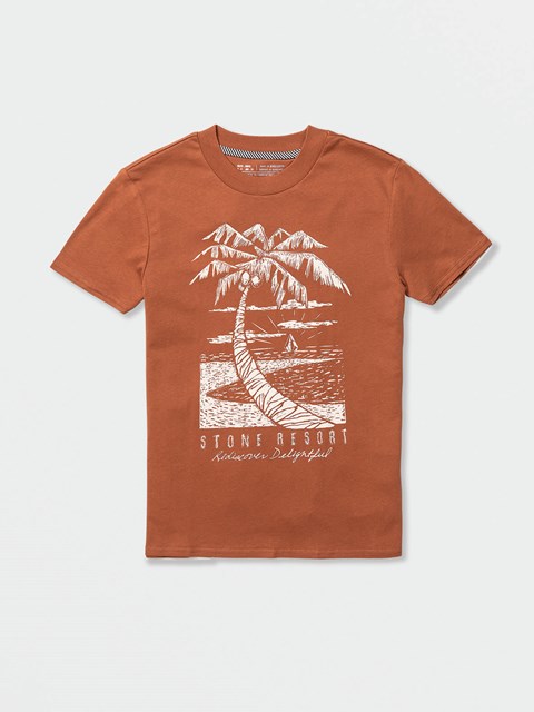 Volcom Volcay Day Korta Sleeve Tee Shirt Mörk | QVH936241